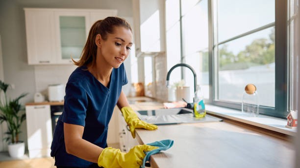 lucknow cleaning service